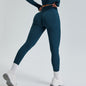 PowerCurve Fitness Leggings