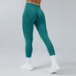 Sculpted Seamless Workout Leggings