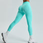 PowerCurve Fitness Leggings
