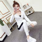 Womens Fashionable Active Casual Long-Sleeve Set  Sets Sculptify™